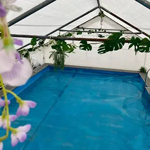 https://mini-love-island-style-guest-house-with-heated-swimming.hotelsin-nottingham.com
